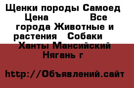 Щенки породы Самоед › Цена ­ 20 000 - Все города Животные и растения » Собаки   . Ханты-Мансийский,Нягань г.